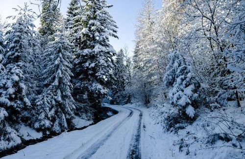 Dom na Jeżynowym Wzgórzu - Blackberry Hill Cottage - Foto 18