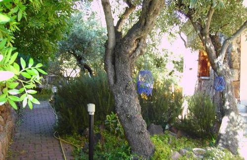 Secret Garden - Foto 19