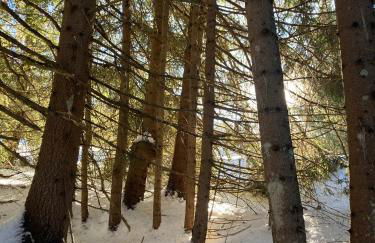 6ème PISTE - Foto 14