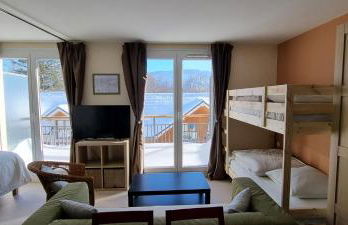 La Rosalie des Alpes - Ski l'hiver, rando l'été !!! - A deux pas des pistes ! - Foto 17