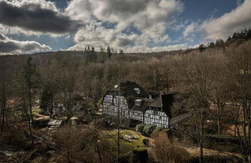 Historisches Mühlendenkmal im Rheingau I 8 Personen - Foto 17
