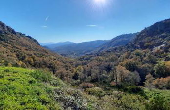 Villas do Laboreiro - Casa 8 - Foto 13