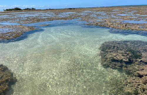 Céu do Morro - Foto 28