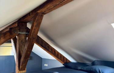 Cosy 4 - Montbéliard centre 80m2 - Foto 14