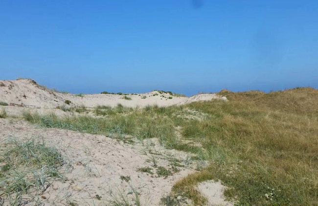 4 Person Holiday Home in Frederiksvaerk - Foto 3