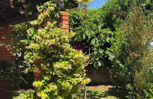 Le tre Palme - Foto 34