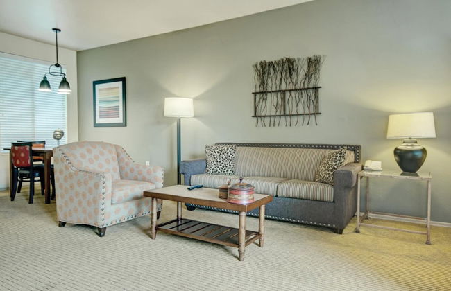 Raintree at Phoenix South Mountain Preserve - Foto 28