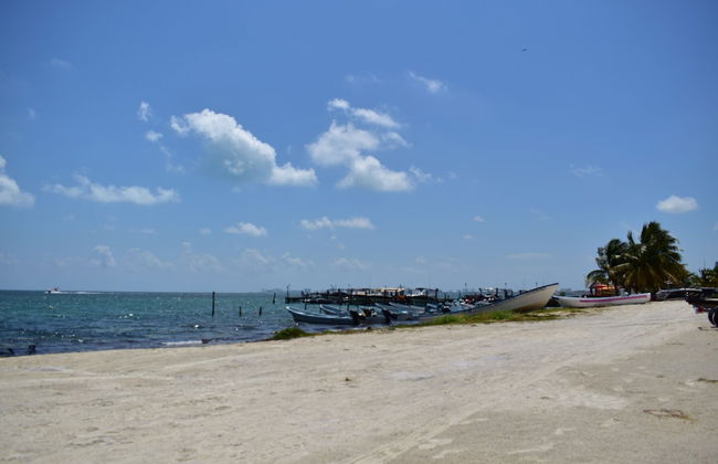 Bahari Cancun - Adults Only - Photo 32