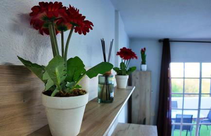 Apartalux Gold Oasis - Foto 7