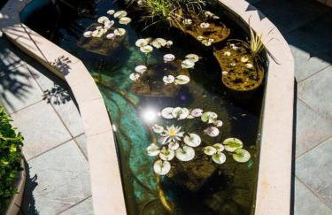 Sunny Palace Apartments - Foto 80