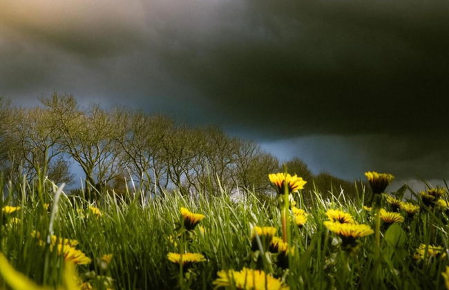 Bungalow in Sondel Near Slotermeer Lake - Foto 40