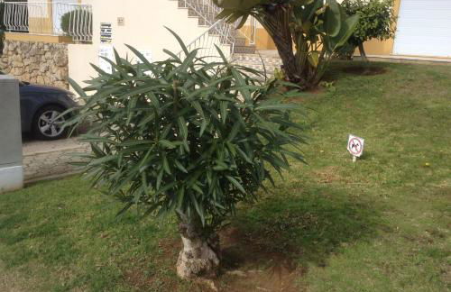 Votre appartement a Portimao - Foto 12