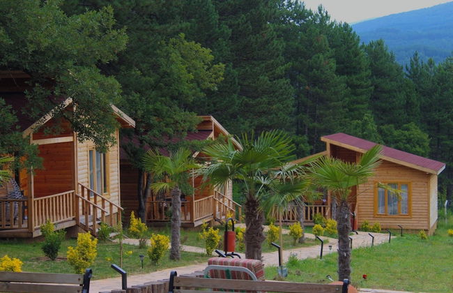 Koru Aura Mengen - Photo 22