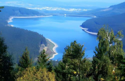 Ferienwohnung in Wildemann - Foto 12