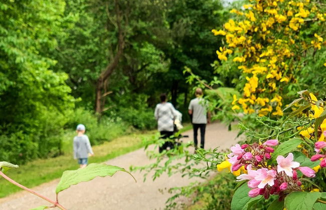 12 Person Holiday Home in Millinge - Foto 40