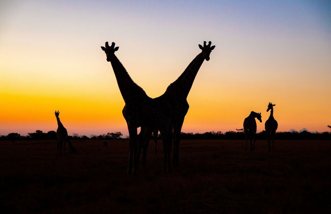 Waterberg Cottages - Photo 29