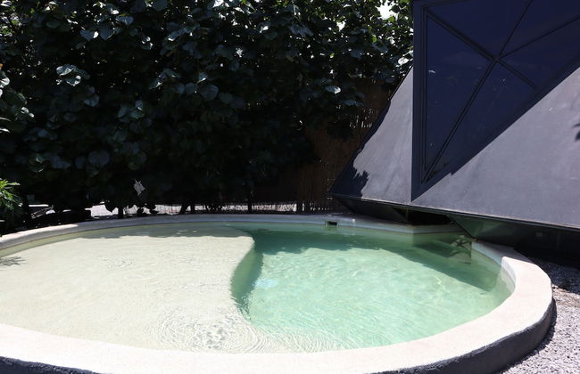 Bosque Geométrico - Foto 41