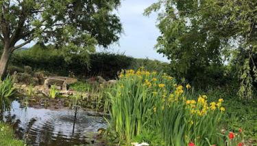 Beautiful Barn Conversion, 3 Bed, hot tub, sauna, gym, enclosed garden - Foto 5