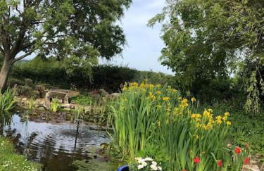 Beautiful Barn Conversion, 3 Bed, hot tub, sauna, gym, enclosed garden - Photo 5