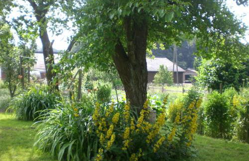 Ferienhof An der Lay - Foto 14