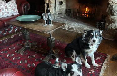 The Cartshed - Photo 23