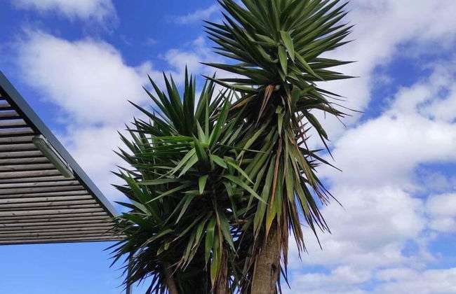Casas do Forneiro - Foto 49