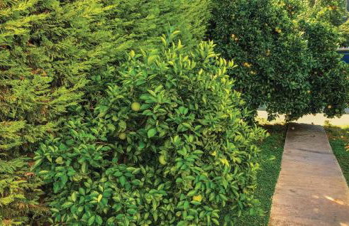 Awesome Apartment In Melissi Korinthia - Foto 9