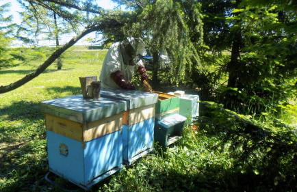 Holiday Home Giaron - Foto 36