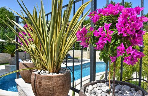 Villa Zita u Svicima for 10 people with jacuzzi & sauna in Central Istria - Foto 54