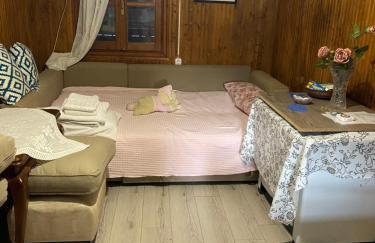 Real Holidays Antoniadou - Rustic House - Foto 29