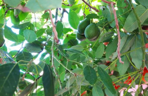 Villas Norte Piscina privada climatizada - Foto 28