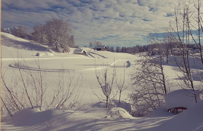 Spectacular Swiss Experience - Foto 25