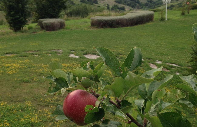 Panoramic Villa Italy Just few Minutes Drive From the Beach - Foto 18