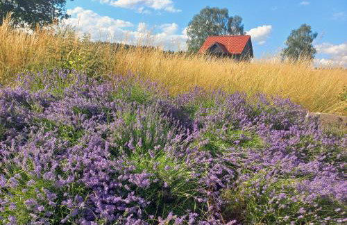 Dom Malarki - Foto 19