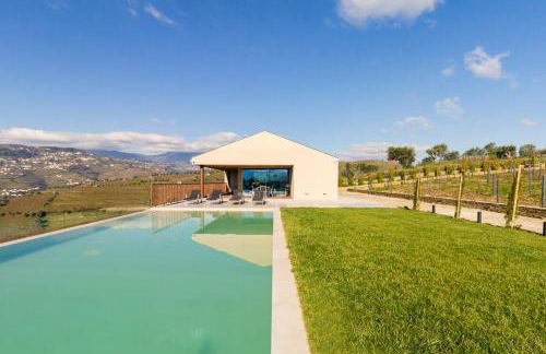 Douro Valley Luxury Home with Vineyard and Infinity Pool - Photo 6