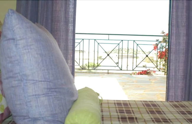 Ktima Nikola - Photo 2