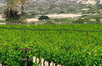 Jasmine house - Foto 54