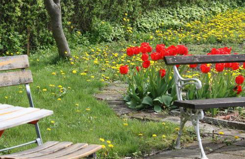 Ferienwohnung mit großem Garten und Blick zum See - Photo 24