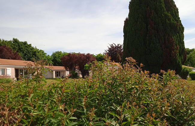 Le Domaine du Lambon - Foto 34