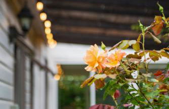 The Garden Cottage, Wenhaston, Suffolk, near coast - Foto 25