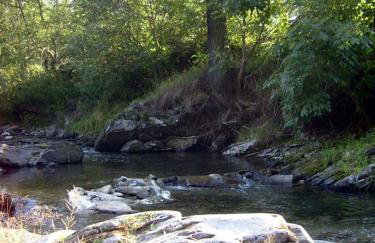 Gospodarstwo Agroturystyczne Watra - Foto 51