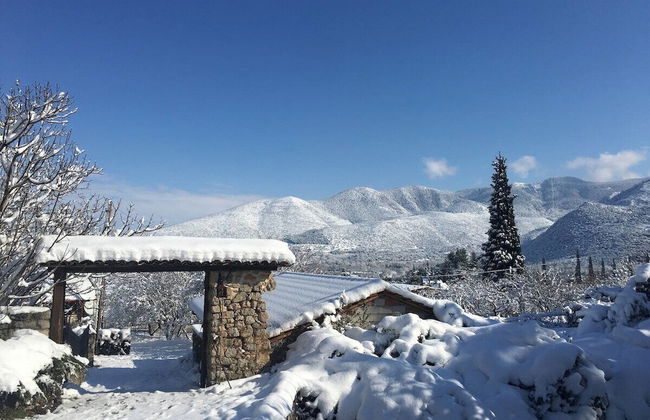 260m2 Unique Mountain House in Lilea Parnasos - Foto 80