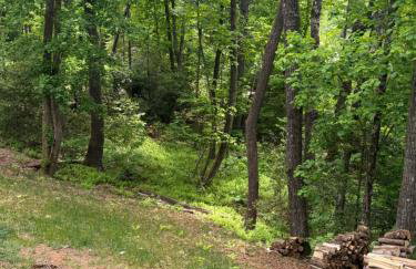 The Onyx - Walk to Falls, Hot Tub, Resort Access, Luxe Approved - Foto 74