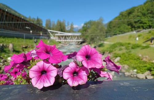 Appartamentino Marilleva 1400 - Foto 26