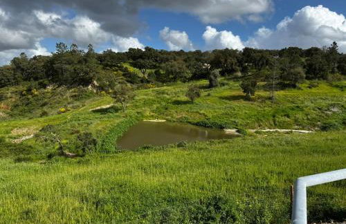 Refúgio sobre a paisagem alentejana - Foto 34