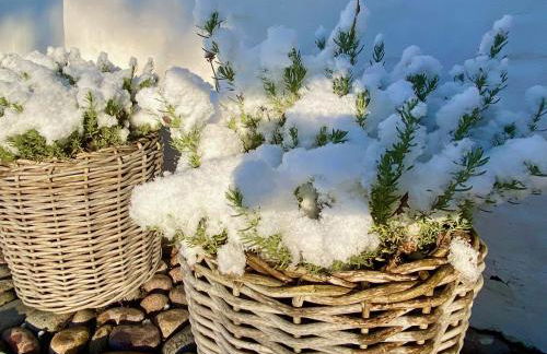 Ferienwohnungen Bosbuell Huus - Foto 46