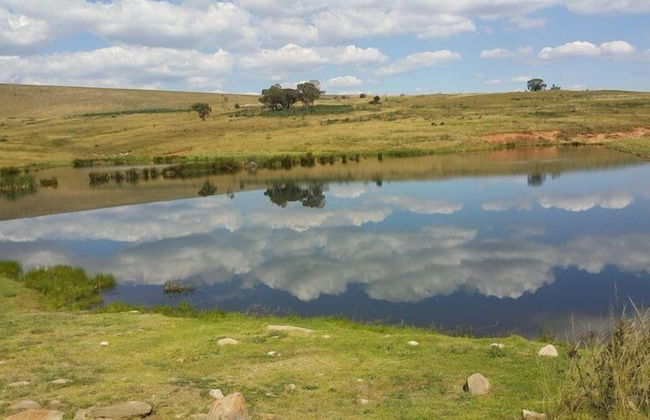 Field and Stream - Foto 50