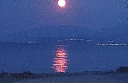 Summer Dreams Residence Digeliotika Beach - Foto 31