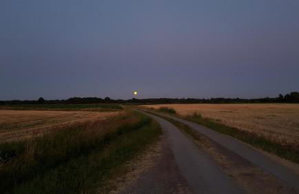 Ferienwohnung Utkiek - Foto 45