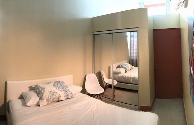 Gladiolas 1 209 - Foto 2